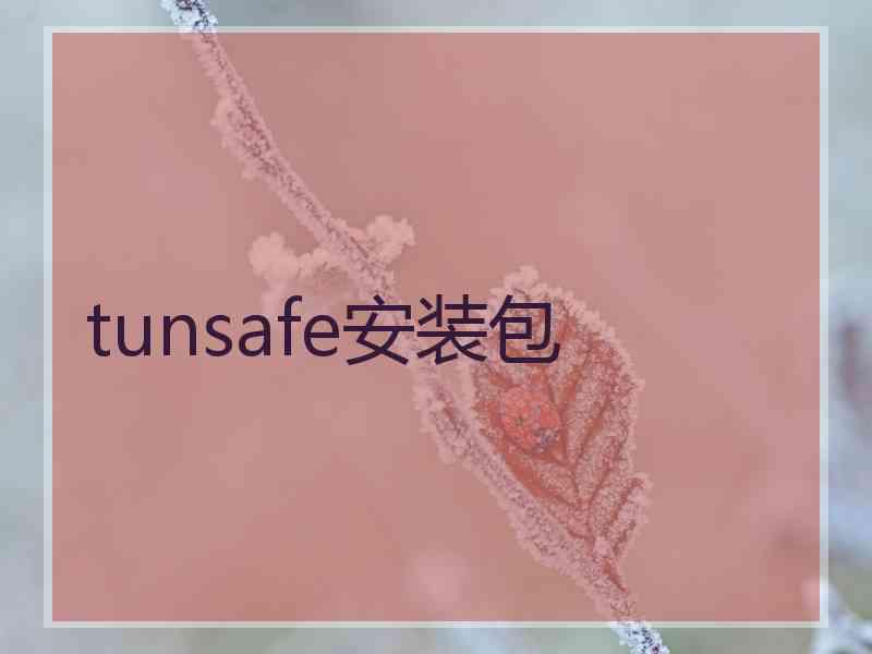 tunsafe安装包
